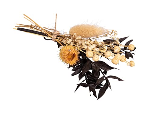 Rayher Dried Flowers and Plants for Crafts Dried Flower Bouquet for Crafting and Home Décor, Dried Natural Flowers with Stem - Image 2