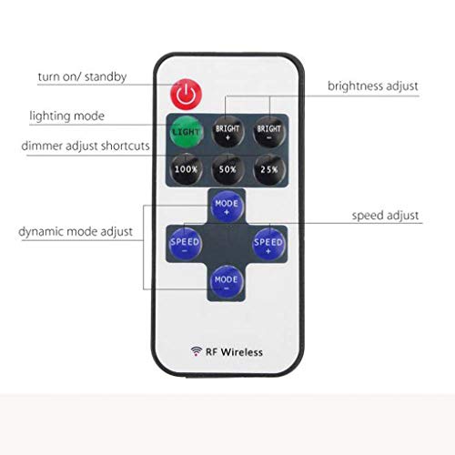 Guirlande lumineuse LED étanche extérieur ADOSSAC avec télécommande