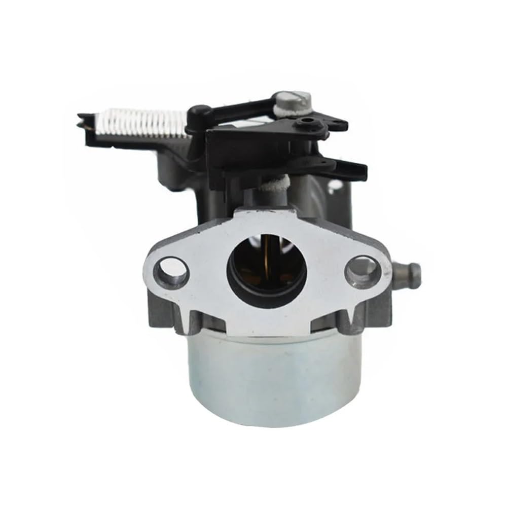 Herramientas de jardín Kit de carburador Compatible con Juntas de Filtro de Combustible 594287 799248