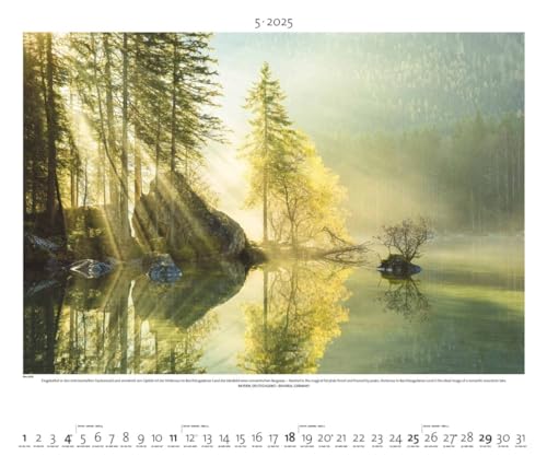 PALAZZI - Landschaft im Licht 2025 Wandkalender, 60x50cm, Posterkalender mit malerische Landschaftsfotografie, hochwertige Naturbilder, eine Reise ... int. Kalendarium: Light on the Land
