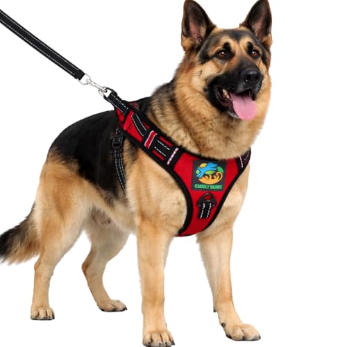 Image of Adjustable Padded Dog Harness with Leash, Red, XL (36-60 kg)