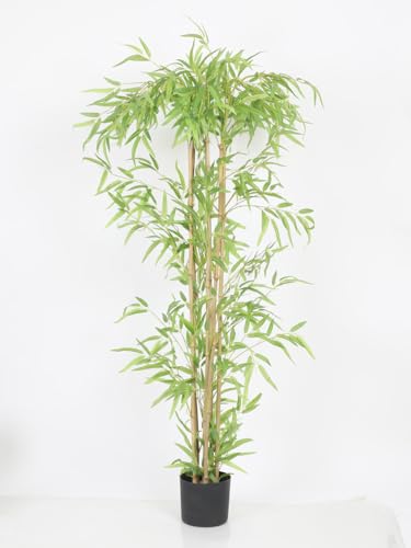 Image of Artificial Bamboo Plant with Pot, 160 cm (5.2 Ft) Tall, Realistic Faux Bamboo Tree for Home Decor, Indoor Decorative Plant for Living Room, Office, Bedroom & Reception