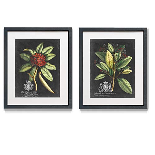 Renditions Gallery Royal Foliage Red 2 Framed Artwork Set, Colorful Botanical, Leafy Berry Plant Art, Black, Green, Black Matte Frame, White Mat, Plexiglass, 16 In W X 20 In H, Made in America