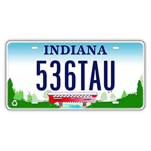 Panguru Replica License Plate of US States, Embossed Novelty Metal