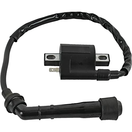 Db Electrical 160-01068 Atv Ignition Coil Compatible With/Replacement For Yamaha Big Bear 400 2000-12 12-Volt, 5Fu-82310-00-00, 160-01068 #TOP11