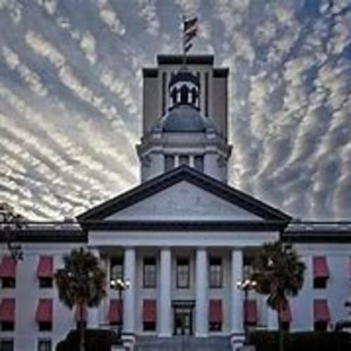 Tales from the Legislature: FYRE Goes to Tally!