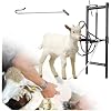 LZMZMQ Adjustable Sheep Shearing Stand, Portable Sheep Head Holder with Catching Sheep Hook & Rope, Farms Livestock Supplies for Home Use Market Milking Body Checking