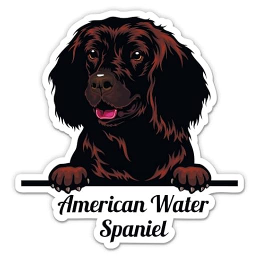American Water Spaniel Stickers - 2 Pack - Waterproof Vinyl for Car, Phone, Water Bottle, Laptop - Spaniel Decals (2-Pack)