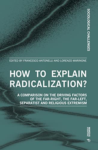How to Explain Radicalization?: A Comparison on the Driving Factors