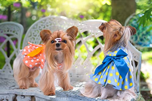 Msnfoasm 2Pcs-Small Dog Dresses,Cute Polka Dots Dog Bow-Knotskirt For Small Dogs Cats(Blue&Orange,Xs) #TOP5
