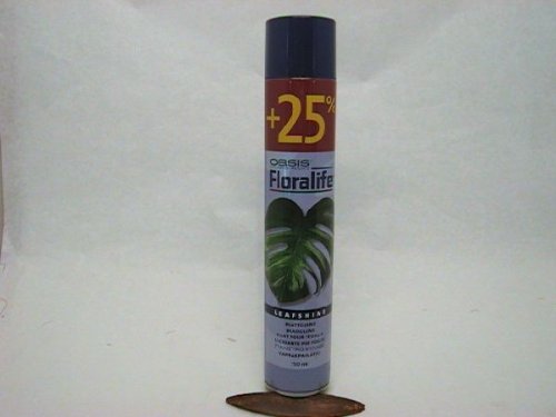 Preisvergleich Produktbild Blattglanz Floralife® 750ml