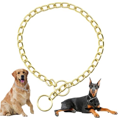 Collares de cadena dorados para perro, collar deslizante de acero inoxidable para entrenamiento y caminar, collar de martingala para perros pequeños y medianos, talla S