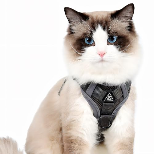 Cat Harness and Leash for Walking, Escape Proof Soft Adjustable Vest Harnesses for Cats