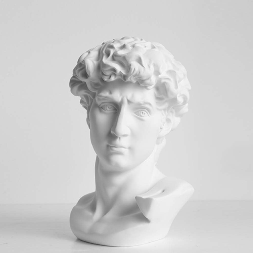 Resin Head Statue, David Bust Sculpture Classic Greek Figurine Handicraft Home Decoration Sketch Ornaments-k 33x17x13cm(13x7x5inch)
