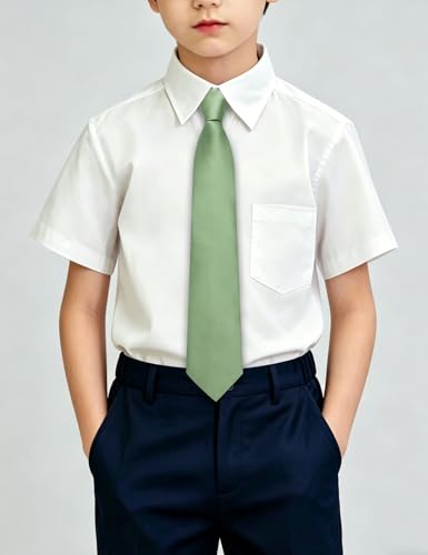 Image of Hi-Tie Pretied Boys Ties Solid Color Kids Adjustable Necktie Lapel Pin Clip Set Age 8-12 Wedding School Graduation