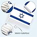 Anley Israel Mini Flag 12 Pack - Hand Held Small Miniature Israeli Flags on Stick - Fade Resistant & Vivid Colors - 5x8 Inch with Solid Pole & Spear Top