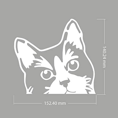Image of WIRESTER 6 inch Clear Vinyl Decal Sticker Decoration for Car Window (Or Any Flat Surface) - Tuxedo Cat