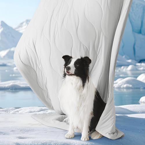 Bedsure Premium Cooling Blanket for Medium Dog - Q-MAX>0.5, Breathable Summer Washable Cold Pet Throw Blanket, Soft Durable Self Cooling Cat Mat for Hot Weather, Pearl Grey, 30x40
