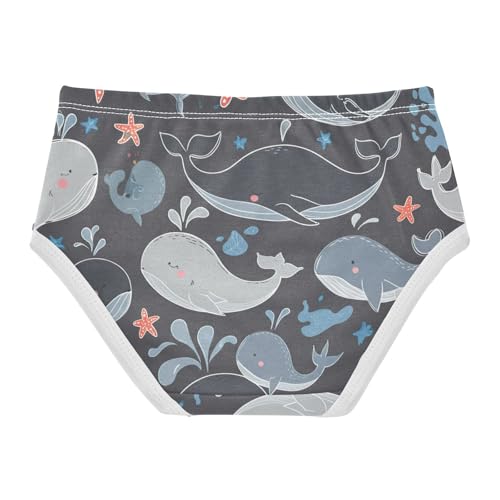 Cute Whales Stars Starfish Gray Toddler Girls Underwear 2t Cotton Little Girl Panties Fancy Briefs Girls Undies2