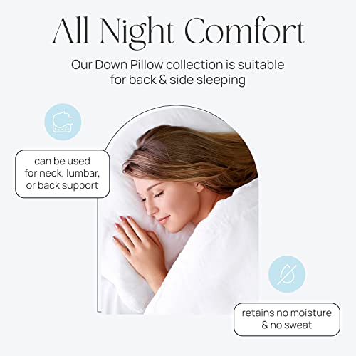 East-Coast-Bedding-Pure-Dream-Firm-Pillow-Standard-Size-20×26-Inch-Medium-Support-Goose-Feather-Down-Pillows-100-Cotton-Shell-Standard-Pillow-Set-of-2 East Coast Bedding Pure Dream Firm Pillow Standard Size 20×26 Inch Medium Support Goose Feather Down Pillows 100 Cotton Shell Standard Pillow Set of 2