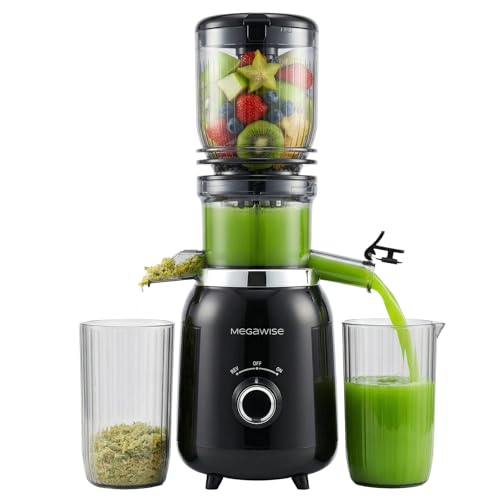 MEGAWISE SJ250I Slow Masticating Juicer, Cold Press Juicer Machine, Quiet & High Juice Yield, Nutrient & Vitamin Lock, Easy to Clean, Ideal for Leafy Greens, Wheatgrass, Fruits and Vegetables