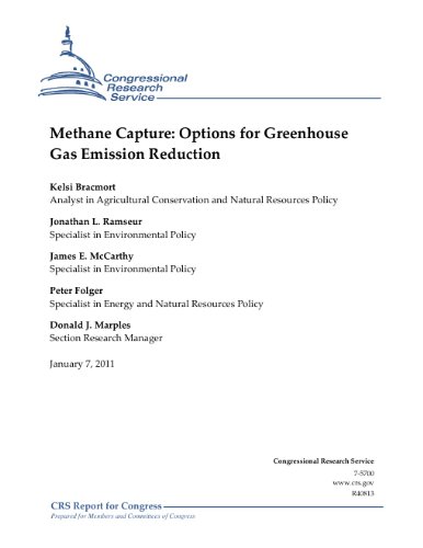 Methane Capture: Options for Greenhouse Gas Emission Reduction