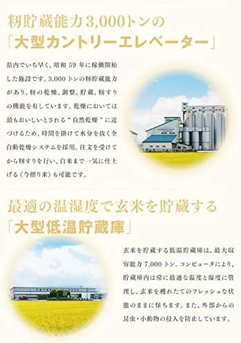 新米 お米 5kg 精米 山形県産 令和7年 雪若丸 5kg（5kg×1袋） 【新潟県佐渡市】 時短 ryy0506