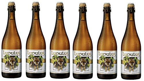 Provenienza: Belgio Birra Belga -LUPULUS BLONDE- 75 cl 8.5% Tappo in Sughero (6)