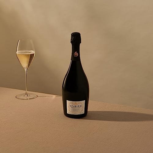 Oddbird Prickler Spumante alkoholfrei schäumendes Getränk, 750ml