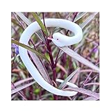 Serpent réaliste en caoutchouc souple blanc pour Halloween Accessoires de farce Serpent faux pour chasser les oiseaux et les écureuils - 30 cm