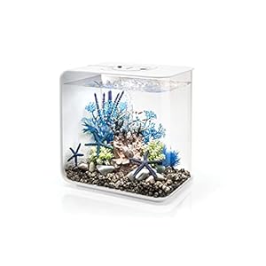 biOrb Flow 15 Acrylic 4-Gallon Aquarium with Multi-Color Remote-Controlled LED Lights Modern Compact Tank for Tabletop or Desktop Display, White