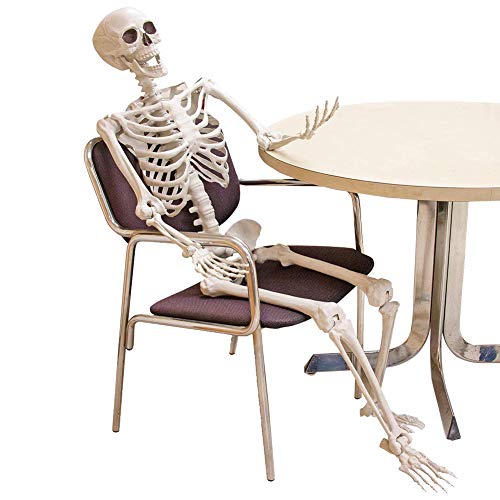 Preisvergleich Produktbild Menschliches Skelett-Muster, künstliches menschliches Skelett, Halloween-Party-Kneipendekoration Prop Crafts Künstliches menschliches Skelett-Modell in Originalgröße, geeignet für beängstigende