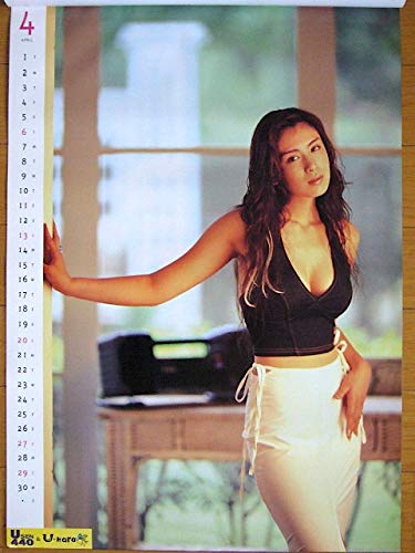 Amazon.co.jp: 1997年 雛形あきこ カレンダー ヒナコレ : 文房具 
