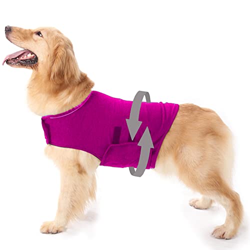 Best Dog Anxiety Jackets In India Mix And Grind