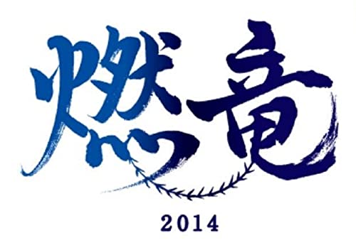 中日ドラゴンズ 2014 燃竜（もえドラ）レプリカユニホーム 