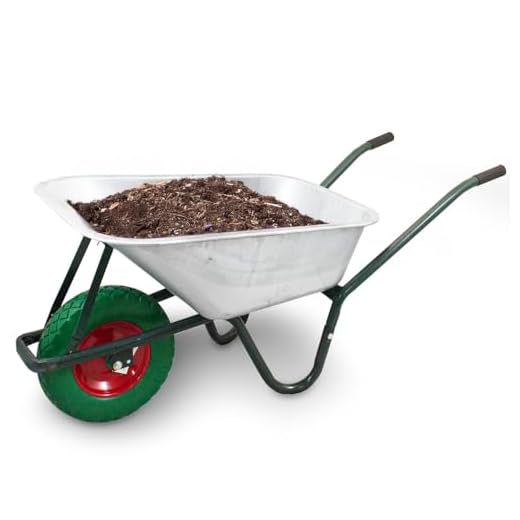 BITUXX® Schubkarre 100L / 250Kg Schubkarren Schiebkarre Bauschubkarre Verzinkt mit PU Rad 4.80/4.00-8 mit nadelgelagerter Achse(Grün)