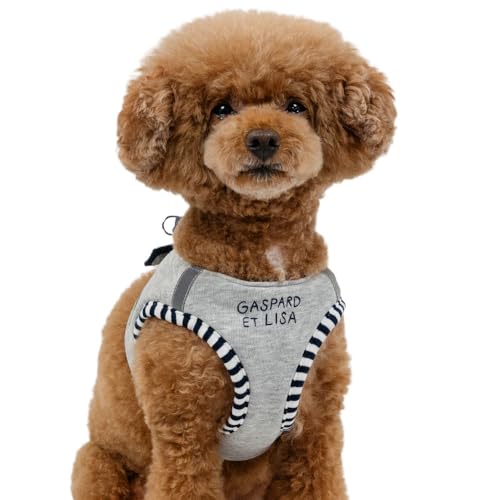 ペットパラダイス 犬 ハーネス 犬具 エッフェル塔 ベストハーネス 犬具 リサとガスパール 反射 小型犬 【参考 3S ポメラニアン ヨーキー (〜3kg) ペットパラダイス国内直営店72店舗展開2025/10/1時点】