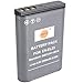 DSTE 2-Pack Ersatz Batterie Akku Kompatibel für EN-EL23 und Coolpix P600, P610, P610s, P900, P900s, S810c, B700 Digital Kamera