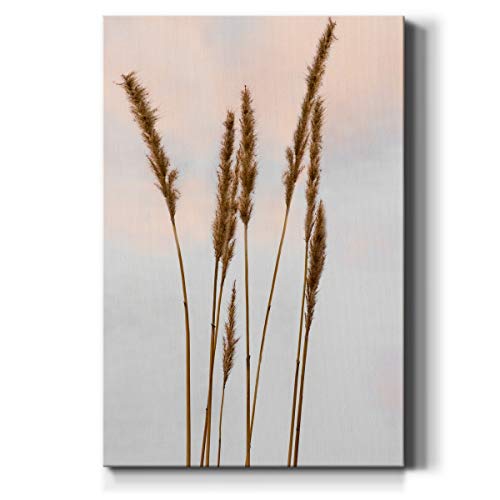 Renditions Gallery Dried Reed Grass II Wall Art, Nature Decor, Scenic Pink & Blue Sky, Cottagecore, Bohemian Artwork, Premium Gallery Wrapped Canvas, Ready to Hang, 32 in H x 48 in W, Made in America