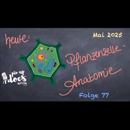 Hauptfolge 77 - Mai 2025