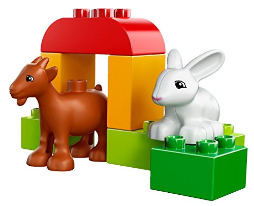 LEGO 10522 - Duplo Bauernhof-Tiere – Bild 7