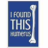 Printlabz I Found This Humerus Punny Science Classroom Poster - Biology Science Class Decor - 12 x 18 Inch - Classroom Decor - Classroom Must Haves - Back To School Decor - CPS0468