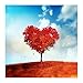 Produktbild Magerde DIY 5D Diamant Painting Set Full Drill Stickerei Bilder Roter Blattbaum Leinwand Nummer Kreuz Stich Crystal Strass Painting Diamond Handwerk Für Wall Wohnkultur -30×30cm K5160