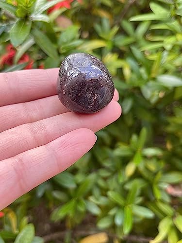 Image of GAF TREASURES 1 /2 LB Garnet Tumbled Stones, Polished Garnet Gemstone, Garnet Healing Crystals (Garnet)