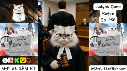 Judges Gone Rogue | In the Litter Box w/ Jewels & Catturd &ndash; Ep. 956 &ndash; 1/23/2026
