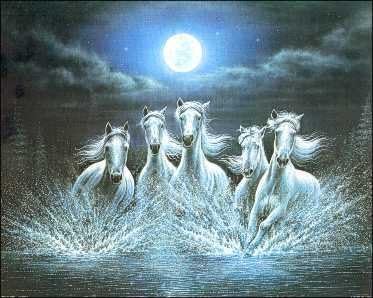 Horses Running in The Sea - Paper Tole 3D Decoupage Craft Kit Size 16x20 K52012