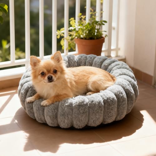 Panier pour chien rond lavable avec base anti-dérapante