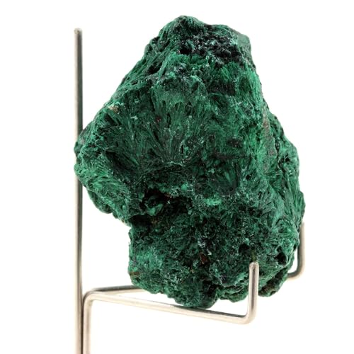 Malachite du Katanga Congo de 443 carats pour collectionneur de minéraux rares