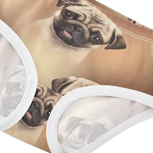 Toddlers Underwear Floral 2t Cotton Panties Little Girl Flower Kids Briefs Undies Cute Pug Puppies Brown4