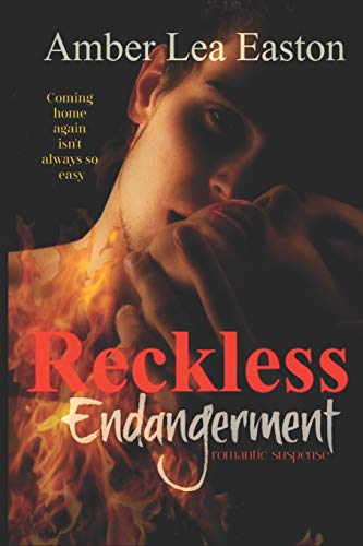Reckless Endangerment view 2
